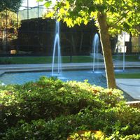 Gallery Photo of The fountains seen from my office