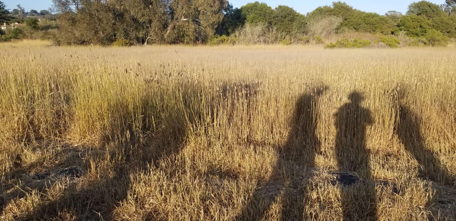 Gallery Photo of You and your shadow - therapy and coaching are opportunities for you to reflect and see yourself from a different vantage point.