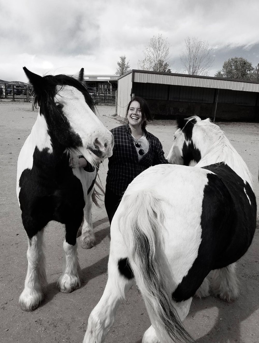 I am a therapist, and also a playful, goofy human in motion!  Here I am as myself, with some of the horse I volunteer with.  