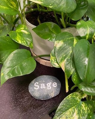 Photo of Gladys Mari - Sage Wellness Center, Treatment Center