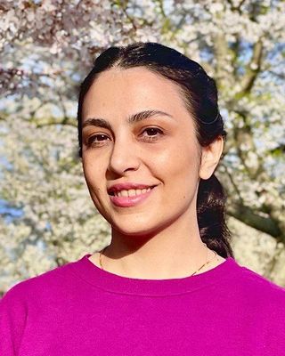 Photo of Parastesh Sattari, Pre-Licensed Professional, CT, Intern