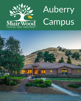 Photo of Ian Wolds - Muir Wood Teen Treatment, Treatment Center, PsyD