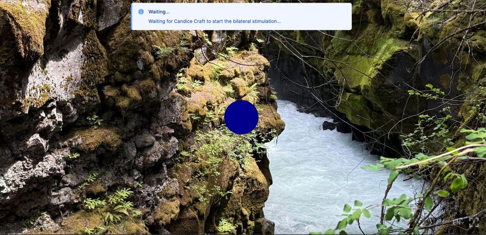 Curious what the screen looks like during an EMDR session? Here's a peek at what it could look like for you. Feel free to reach out to chat about it!