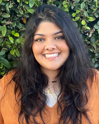 Photo of Meena Islam, Clinical Social Work/Therapist, LCSW