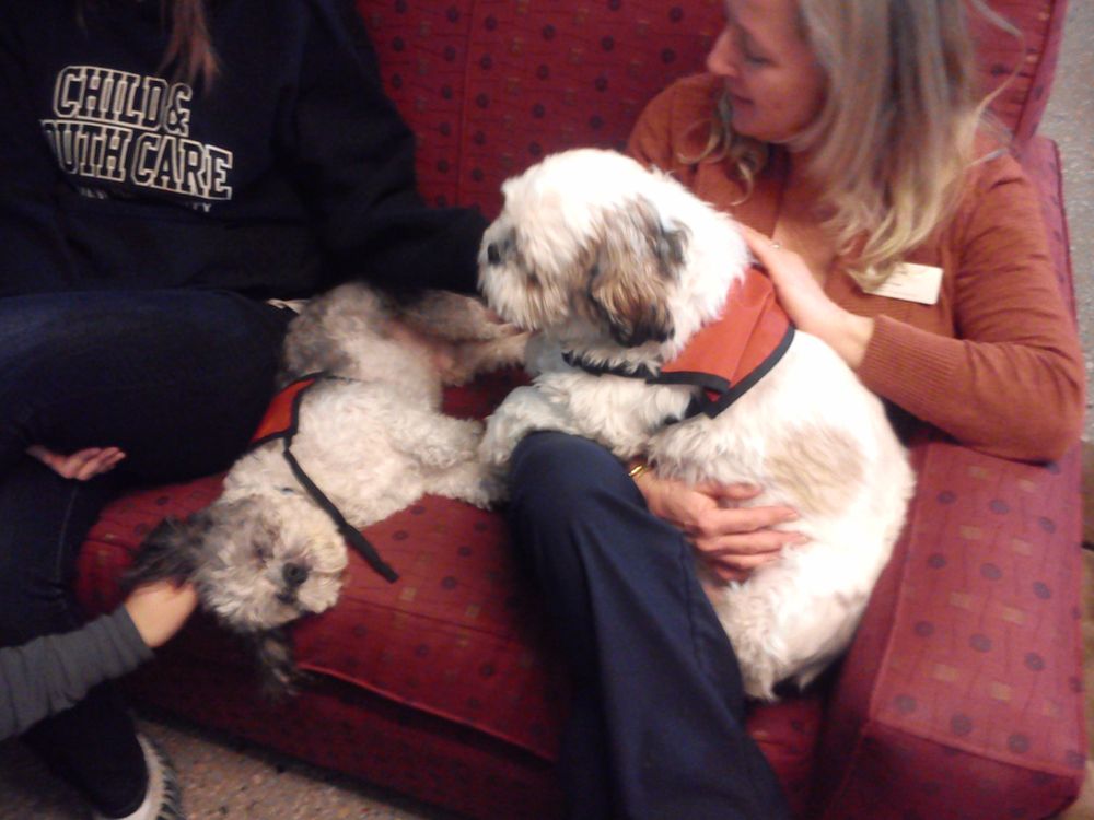 Mind Matters Psychology, Psychologist, Edmonton, AB, T6E Psychology Today