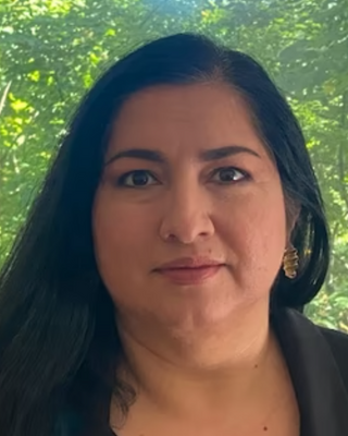 Photo of Carmen Benitez, Licensed Professional Counselor, LPC