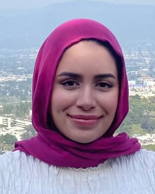 Photo of Amina Seddiq, Clinical Social Work/Therapist, LCSW