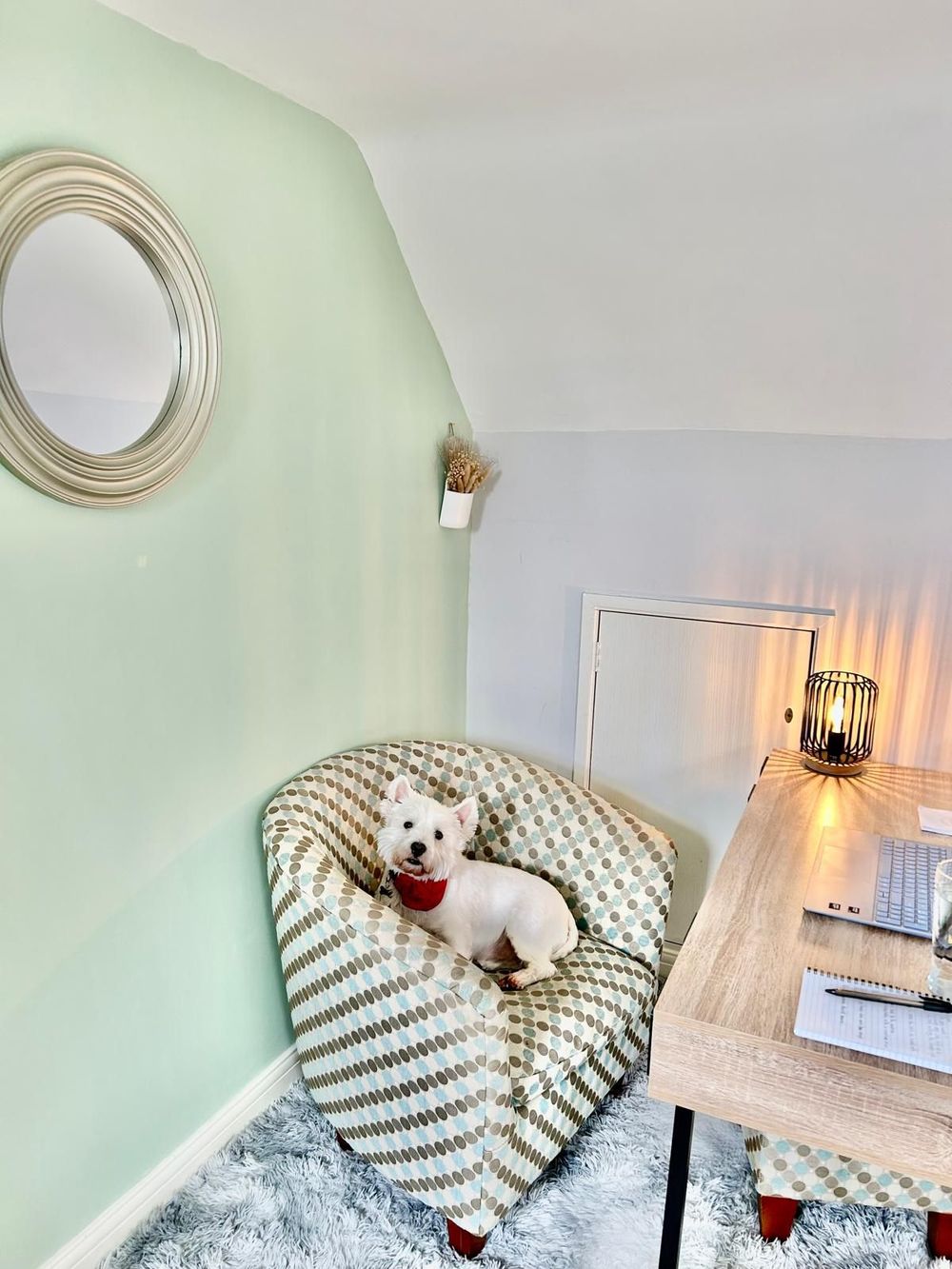 My private and confidential office space for online sessions, featuring Basil the seat stealer.
