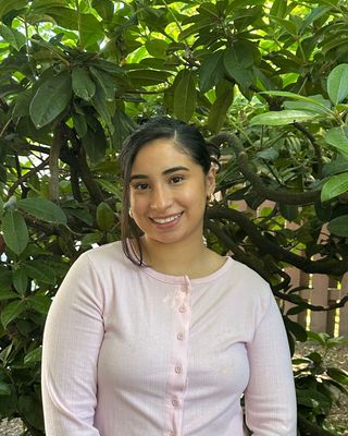 Photo of Brenda Gomez, Pre-Licensed Professional, MSW, CSWA