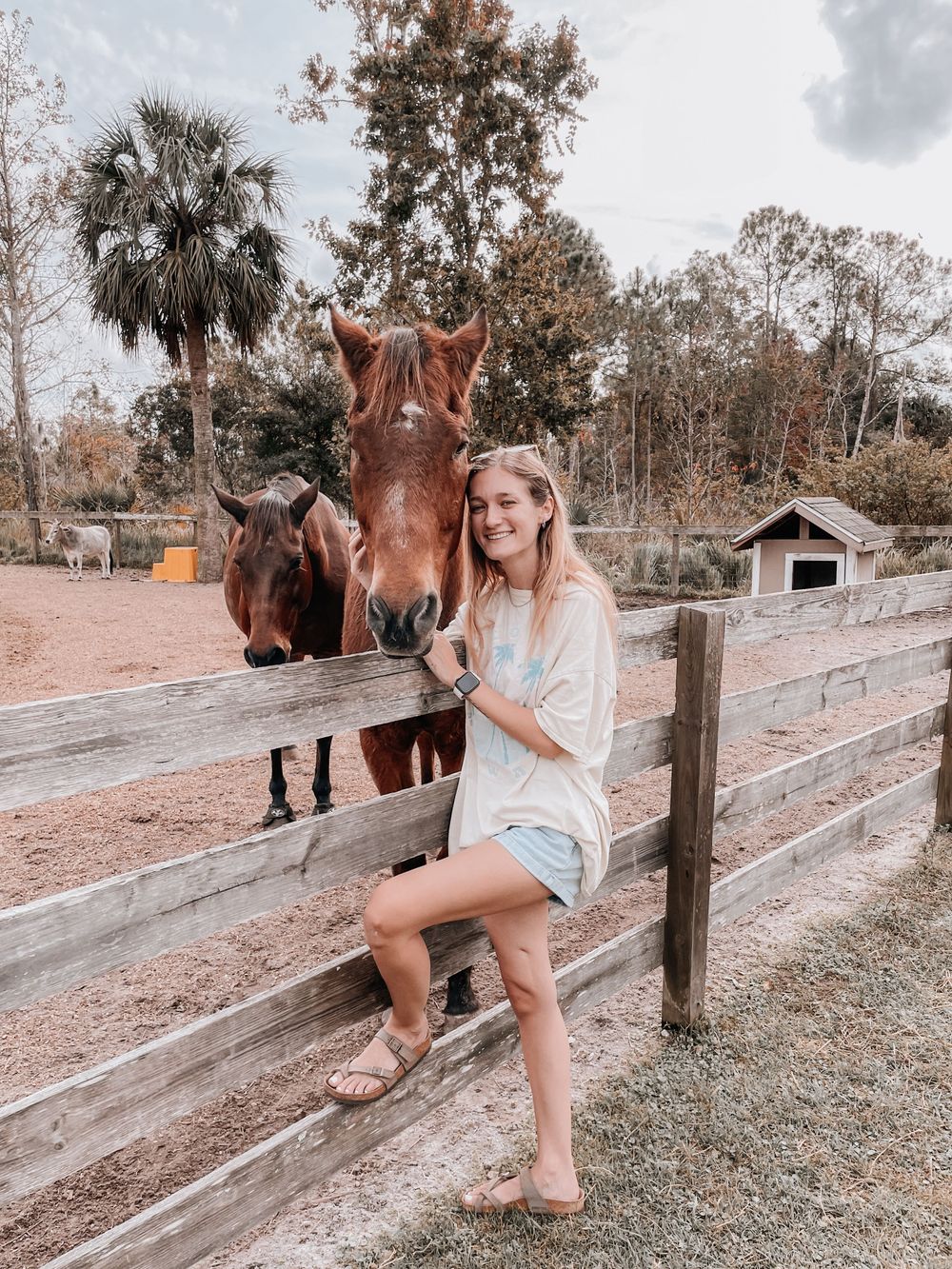 Equine Therapy is a unique model that combines experiential learning, emotional regulation, and relational healing in a safe and self-paced manner. 