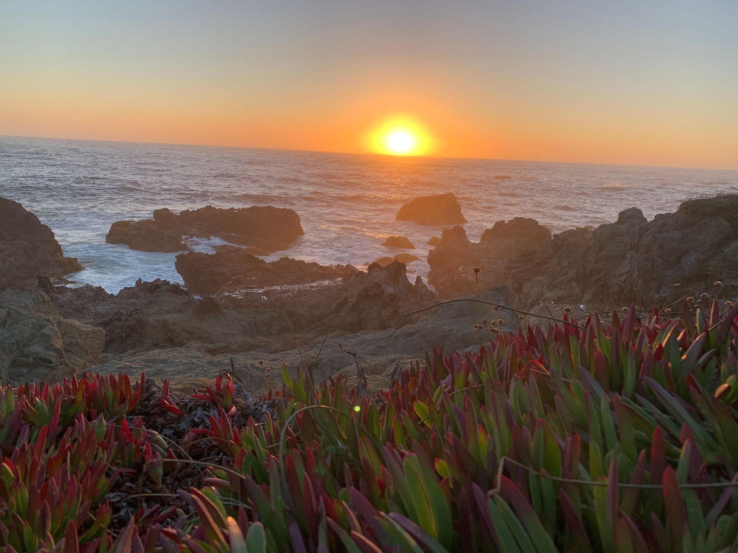 Dr. Mark Chofla Empathy Therapy, Psychiatrist, Fresno, CA, 93720