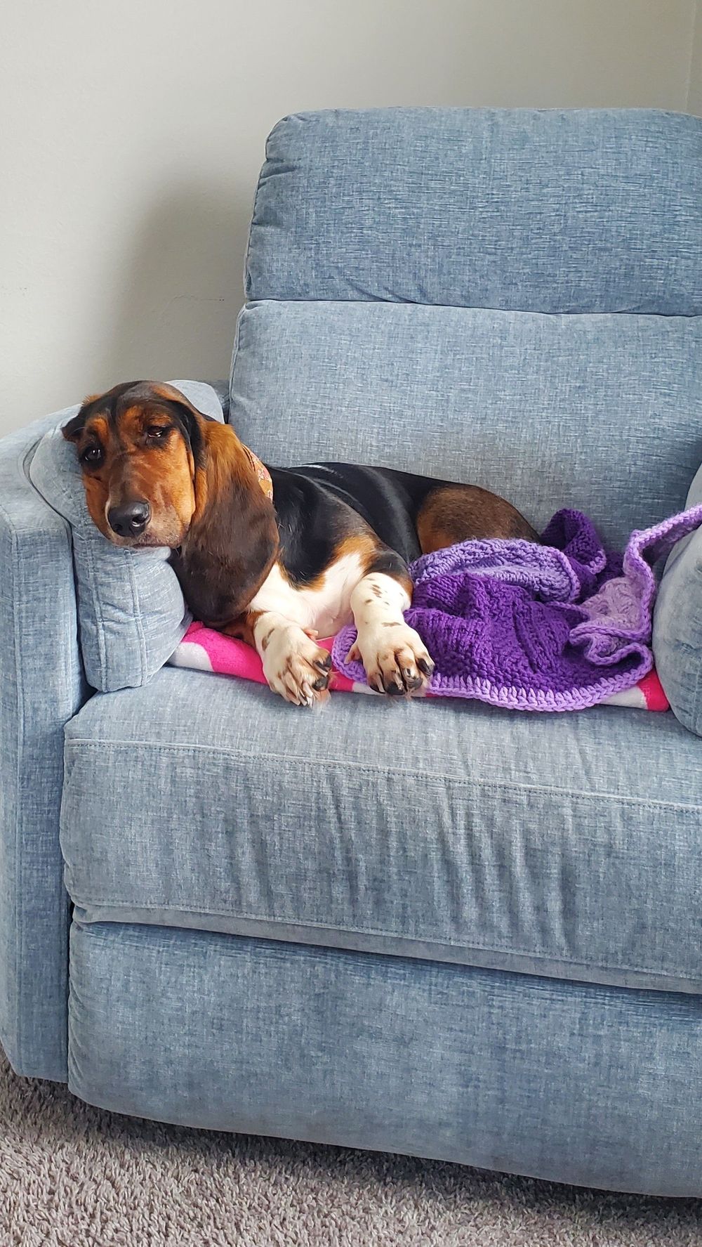 My basset hound Oakley typically sleeps through session, but when she's awake, she knows to keep everything confidential!