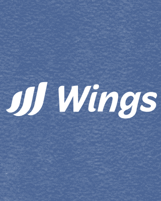 Photo of Posha Zubair - Wings Foundation, Clinical Social Work/Therapist, LCSW