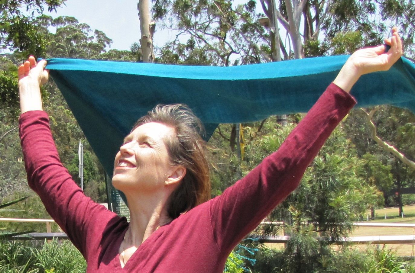 Robyn Price, Psychotherapist, Crows Nest, NSW, 2065 | Psychology Today