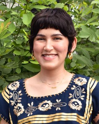 Photo of Emily Villarreal, Licensed Master Social Worker, LMSW