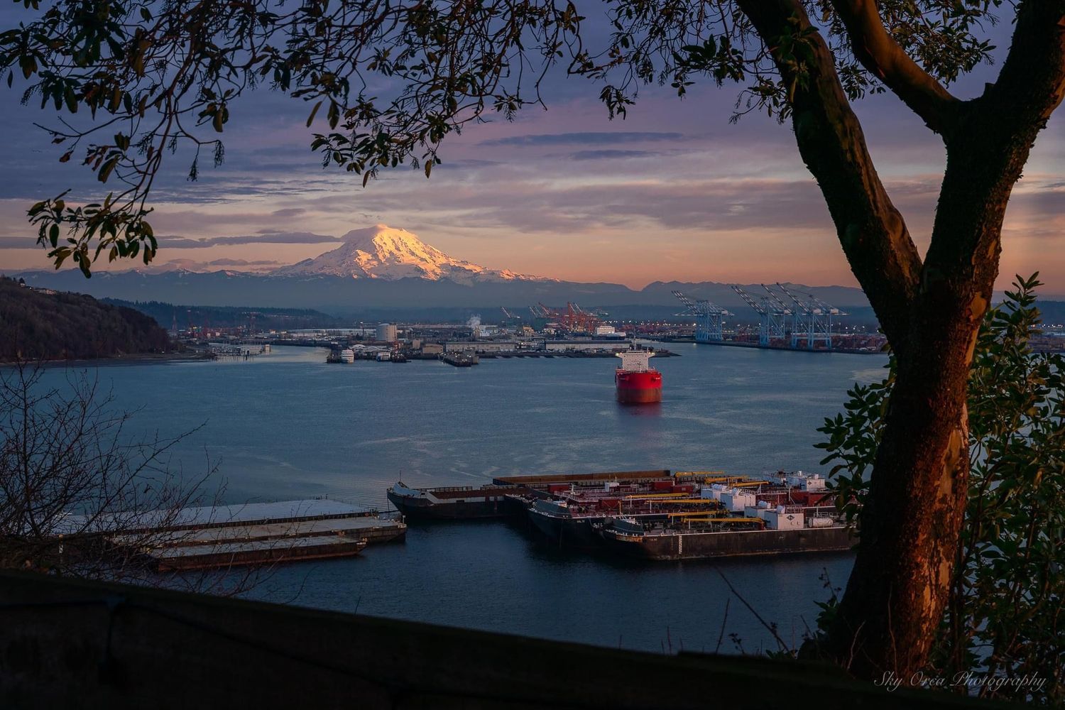 Gallery Photo of Mt Rainier from Tacoma, WA