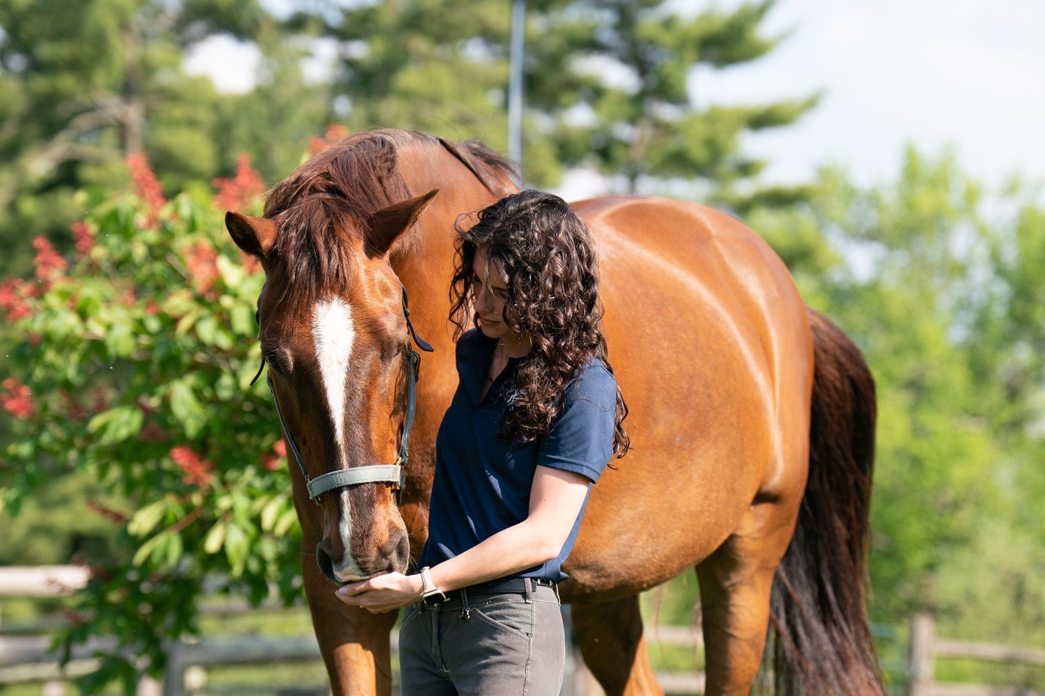 Keira Fischetti, Associate Professional Counselor, Blue Bell, PA, 19422 |  Psychology Today