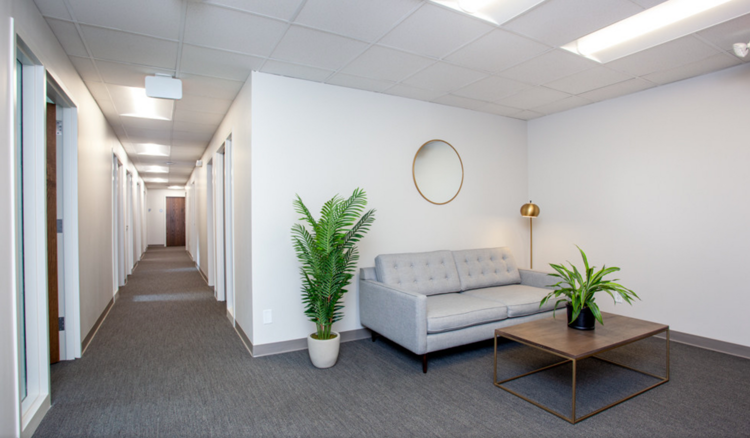 Lily Siebert, Licensed Professional Counselor, Kansas City, MO, 64112 Psychology Today