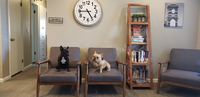 Gallery Photo of Be sure to say "hi" to our therapy dogs in training, Linus and Wednesday.