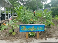 Gallery Photo of Shore Haven Program: Garden Club