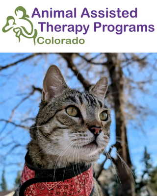 Photo of Linda Chassman Craddock - Animal Assisted Therapy Programs of Colorado, Marriage & Family Therapist, PhD, LMFT, CAAP