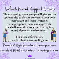Gallery Photo of Virtual Parent Support Group