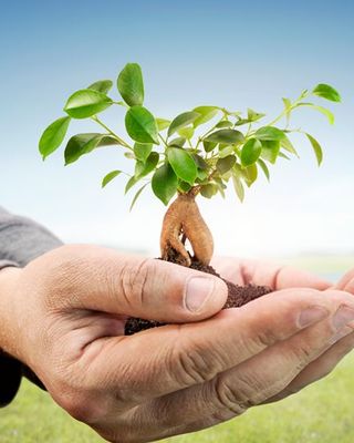 Photo of Shayla Boyd - Avers & Biddle Counseling Associates LLC, Treatment Center