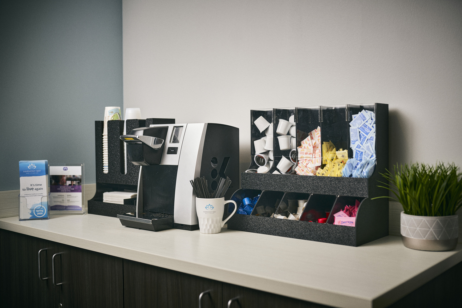 Dr. Allen Masry, MD, Psychiatrist, Princeton, NJ, 08540 Psychology Today