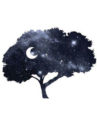 Photo of Candice Due - Shady Grove Behavioral Health, LLC, Pre-Licensed Professional