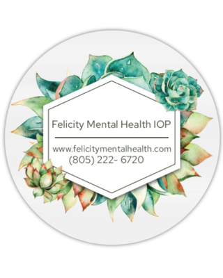 Photo of Rachel Langsam - Felicity Mental Health - Los Angeles, Treatment Center, LCSW