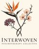 Photo of Interwoven Psychotherapy Collective, Group Practice