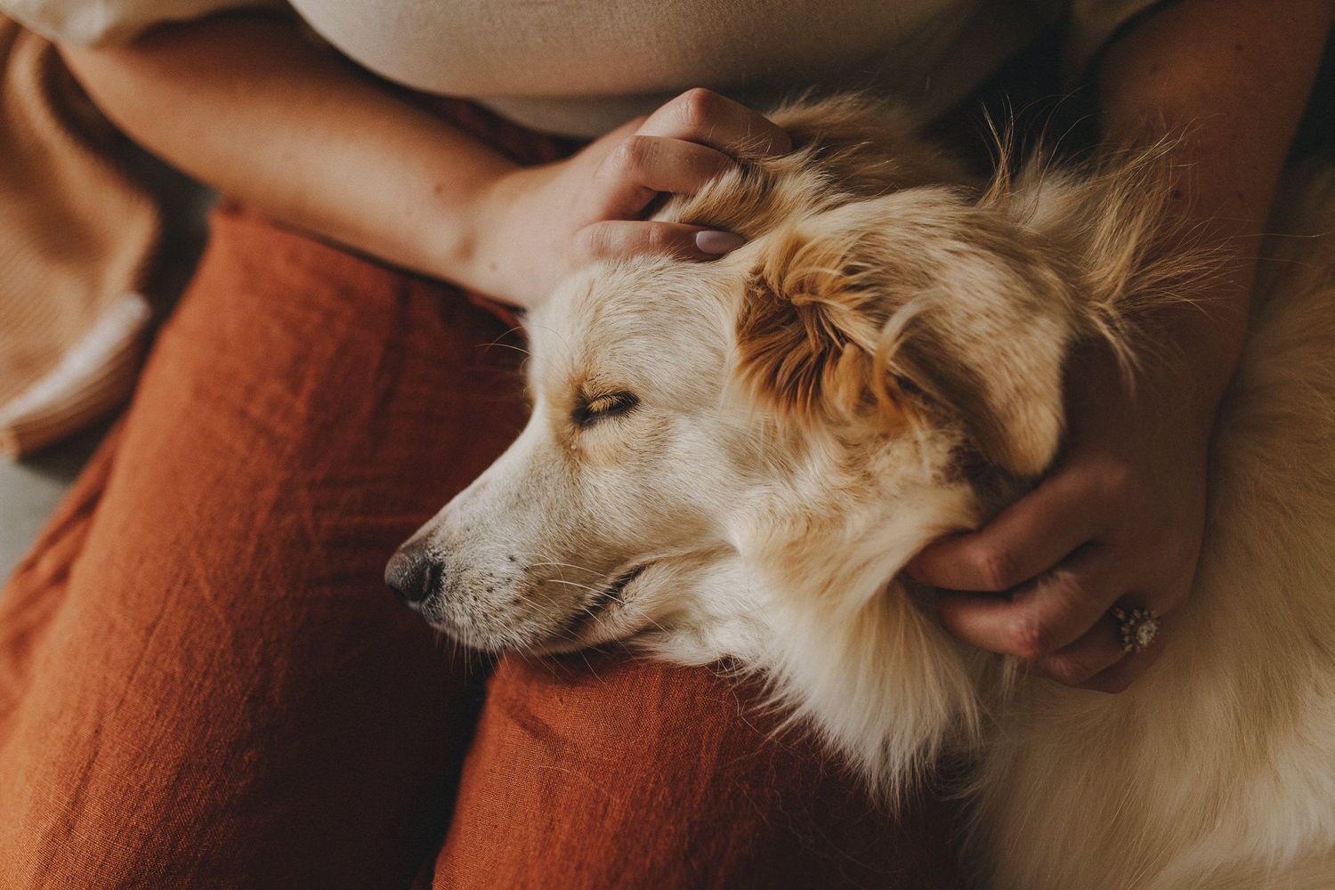 Golden Thread Therapy, Counsellor, Ashgrove, QLD, 4060 Psychology Today