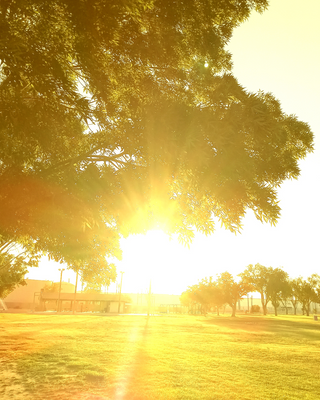 Photo of Tiara Rolland - Brighter Day Therapy, Marriage & Family Therapist