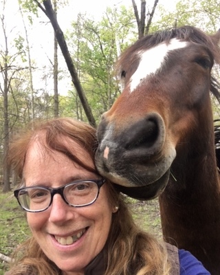 Photo of Vicki Kirsch, Clinical Social Work/Therapist in Centreville, VA