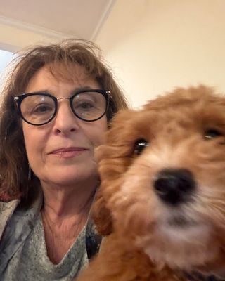 Photo of Shari B Meyer, Clinical Social Work/Therapist, LCSW, CEAP