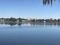 Gallery Photo of Beautiful view from my practice window-Lake Concord in downtown Orlando & College Park, FL