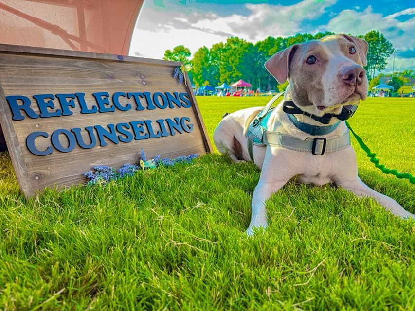 My therapy dog Blue at Dawsonville Family Fair 