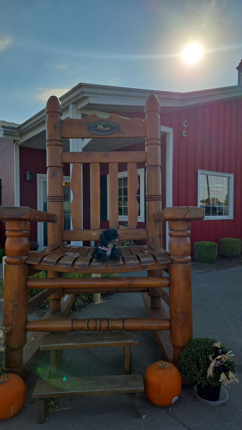 Sometimes we have to find the chair that fits us best