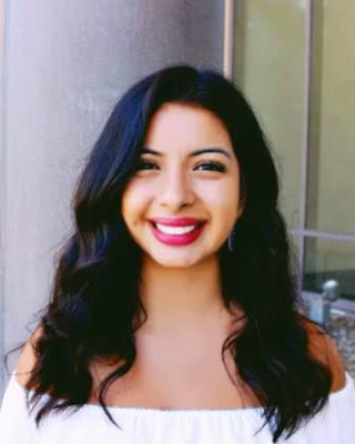 Photo of Astrid Pizarro Talamantes, Clinical Social Work/Therapist, LMSW
