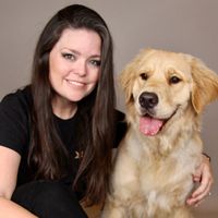 Gallery Photo of Teletherapy dog