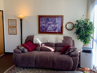 Gallery Photo of The therapy couch - comfortable for 3 adults, 4 if you really like each other.