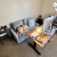 Gallery Photo of My virtual office, along with my trusty side kick, Doug. Doug will likely sleep through your session.